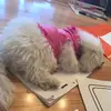 Bay Rose Kauffman - @bayrosekauffman - TikTok