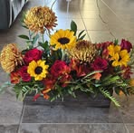 Rose Kauffman - Facebook