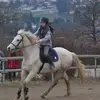 rose kauffmann - @rose_kauffmann - TikTok