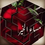هاليه كلاس - @rosekazan6 - Instagram