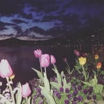 Rose Kazan - @rosekazan2030 - Instagram