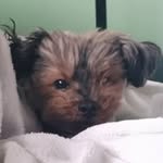 Rose Keane - @family12026 - Instagram
