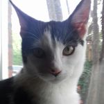 Maisy Rose Kilby - @maisyrosemeow123 - Instagram