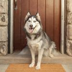 Rose Kinder Smith - @adejoro.joseph.73 - Instagram