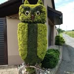 Annerose Kirchner - @kirchnerannerose - Instagram