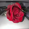 Sarah Rose - @rose_in_the_kitchen - TikTok