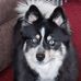 Rose Klatt - Facebook