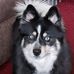 Rose Klatt - Facebook