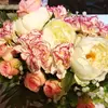 friend_fox - @roseklinkosz - TikTok