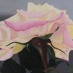 Rose Klinkby - @roseklinkby - Instagram