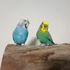 Heiderose Koch - @heiderose.koch - TikTok