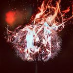 Rose Koch - @rosenzalya - Instagram