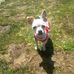 Rose Krebs - Facebook