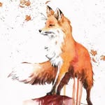Rosa Kupfer - @rosaistkupfer - Instagram