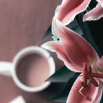 🧚🏼‍♀️Цветочная фея🧚🏼‍♀️ - @roselamp_gift_decor - Instagram