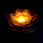 @rose_lamps.bulgaria - Instagram