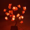 RoseLamp - @rose.lamp1 - TikTok
