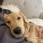 Rose Lance - @roselance_ - Instagram