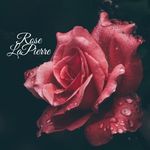 Rose LaPierre - @roselapierrebooks - Instagram