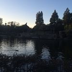 Rose Larson - @rose.larson - Instagram