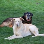 Rose Larson - @larson_rose - Instagram