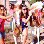 Rose Layman - @foxfishanap - Instagram
