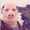 Rose Layton - @papas.pigs.21 - TikTok