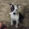 Samantha Leach - @rose.leach96 - TikTok