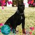 Momo Rose Lesh - Facebook