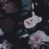 Rose Lester - @roselester4 - TikTok