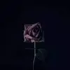 roselester6 - @roselester6 - TikTok