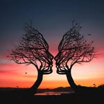 Rosie - @roselester80 - Instagram