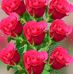 Rose Light - Facebook