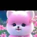 Rose Light - Facebook