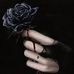 Rose Light - Facebook