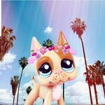 Rose Lockwood - @rosie_petshop - Instagram