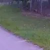 unknown - @rose.lloyd8 - TikTok