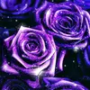 Rosetta Lueras - @rosettalueras - TikTok
