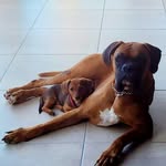Rose Lynch - @rosencraig - Instagram