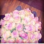 magee_rose - @magee_rose - Instagram