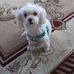 Rose Magee - Facebook
