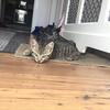 Rose - @rose.magee5 - TikTok
