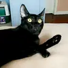 rose.malone_5 - @rose.malone_5 - TikTok