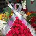 Rose Margaret - Facebook