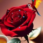 priya - @rose__master__456 - Instagram