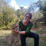 Rose Matzenbacher - @rosematzenbacher - Instagram