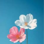 Rose Metz - Facebook