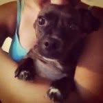 Tabitha Rose Mayes - @tibbythebrownpuppy - Instagram