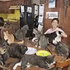 Rosie Maynard - @i.love.my.cats45 - TikTok
