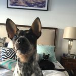 Franky Rose Mazza - @frankymazza - Instagram